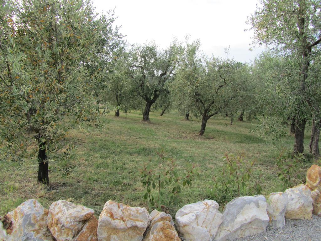Agriturismo Borghetto Il Montino Rapolano Terme Kültér fotó