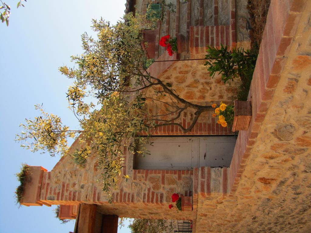 Agriturismo Borghetto Il Montino Rapolano Terme Kültér fotó