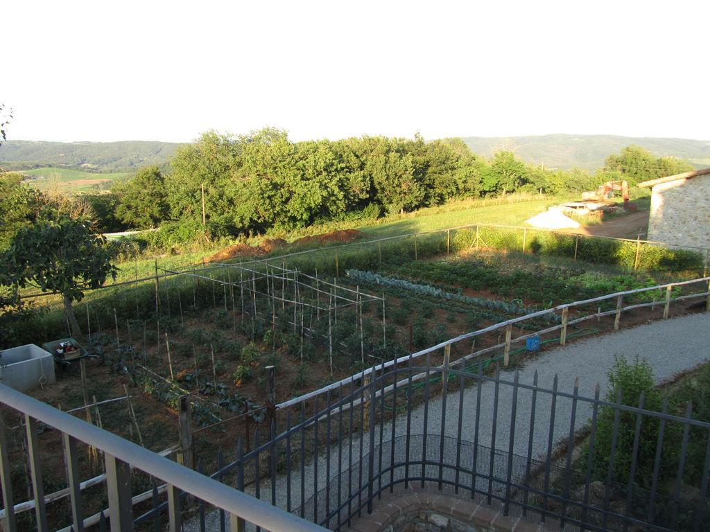 Agriturismo Borghetto Il Montino Rapolano Terme Kültér fotó