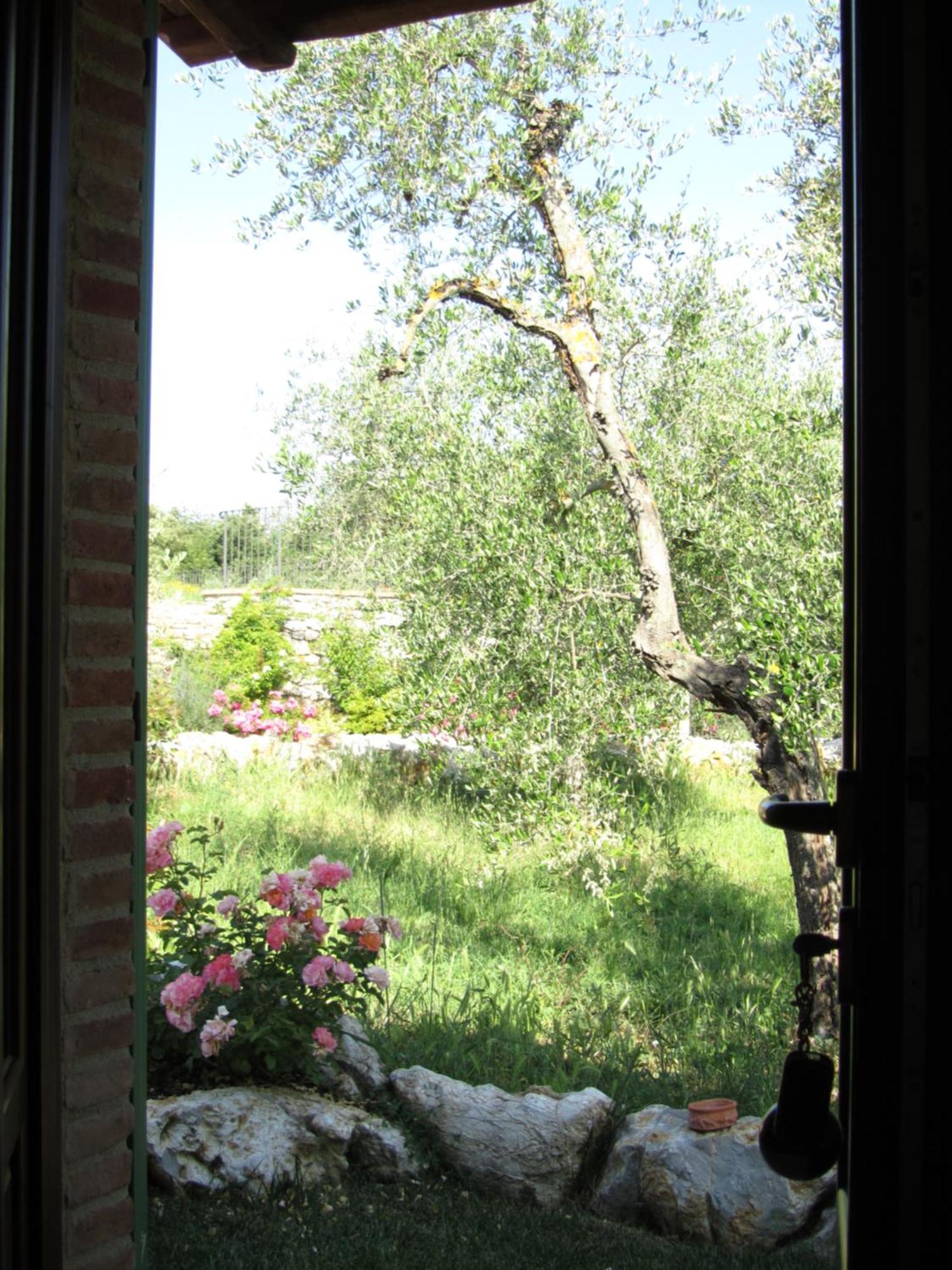 Agriturismo Borghetto Il Montino Rapolano Terme Kültér fotó