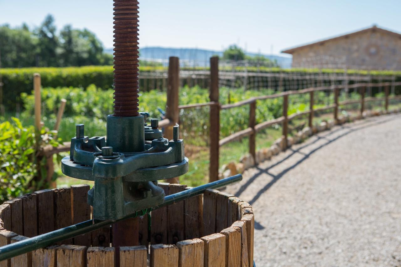 Agriturismo Borghetto Il Montino Rapolano Terme Kültér fotó
