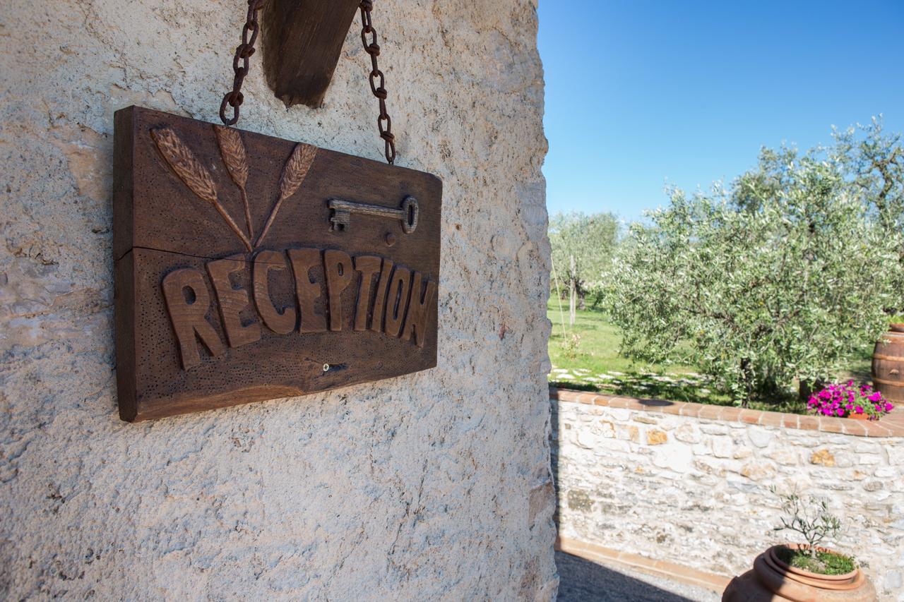 Agriturismo Borghetto Il Montino Rapolano Terme Kültér fotó